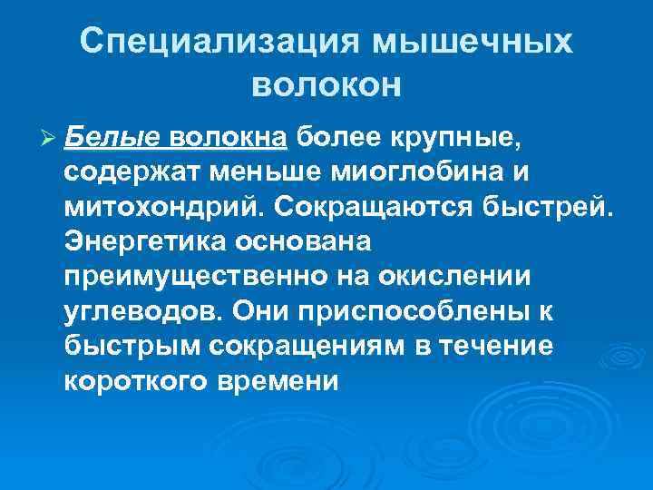 Специализация мышечных волокон Ø Белые волокна более крупные, содержат меньше миоглобина и митохондрий. Сокращаются