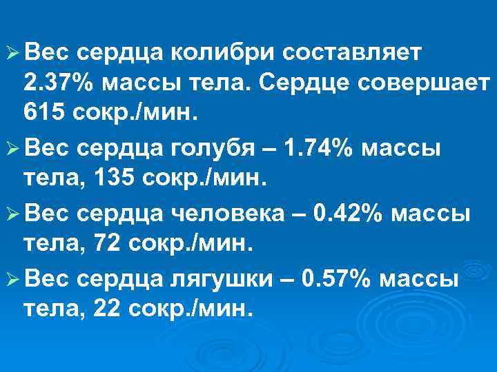 Ø Вес сердца колибри составляет 2. 37% массы тела. Сердце совершает 615 сокр. /мин.