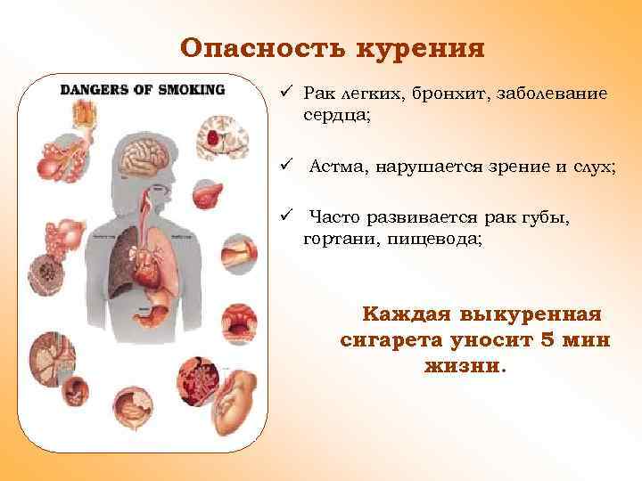 Опасность курения ü Рак легких, бронхит, заболевание сердца; ü Астма, нарушается зрение и слух;