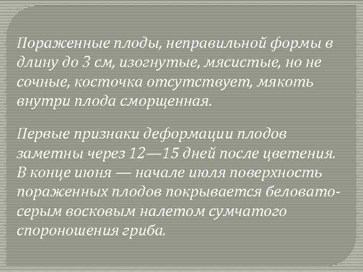 Пораженные плоды, неправильной формы в длину до 3 см, изогнутые, мясистые, но не сочные,