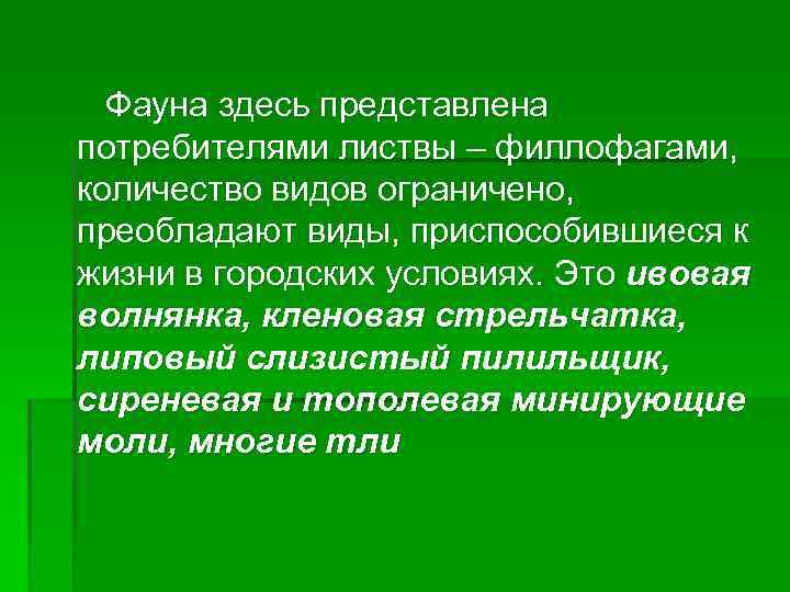 Фауна здесь представлена потребителями листвы – филлофагами, количество видов ограничено, преобладают виды, приспособившиеся к