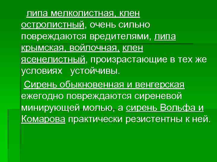 липа мелколистная, клен остролистный, очень сильно повреждаются вредителями, липа крымская, войлочная, клен ясенелистный, произрастающие