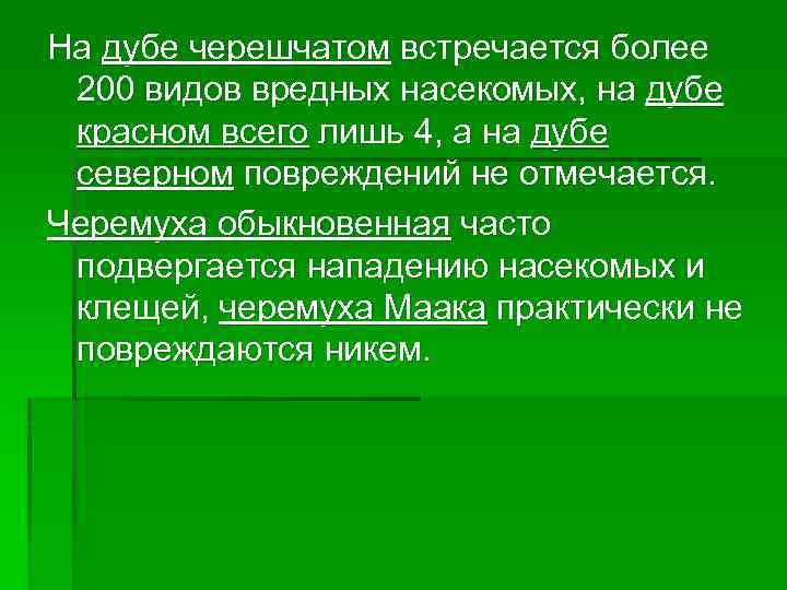 На дубе черешчатом встречается более 200 видов вредных насекомых, на дубе красном всего лишь