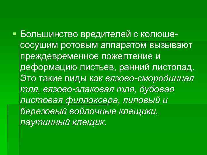 § Большинство вредителей с колющесосущим ротовым аппаратом вызывают преждевременное пожелтение и деформацию листьев, ранний