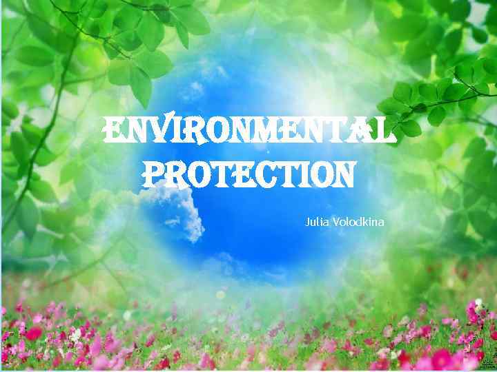 environmental protection Julia Volodkina 