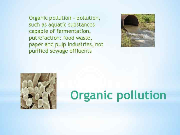 Organic pollution - pollution, such as aquatic substances capable of fermentation, putrefaction: food waste,