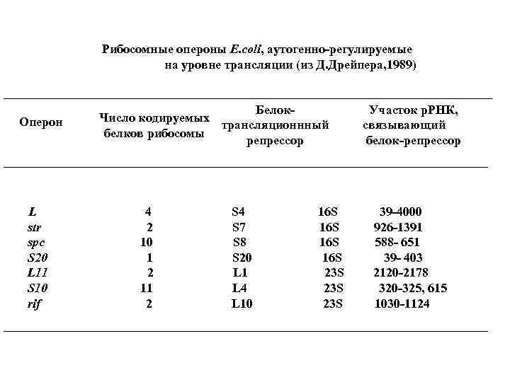 Рибосомные опероны E. coli, аутогенно-регулируемые на уровне трансляции (из Д. Дрейпера, 1989) Оперон L