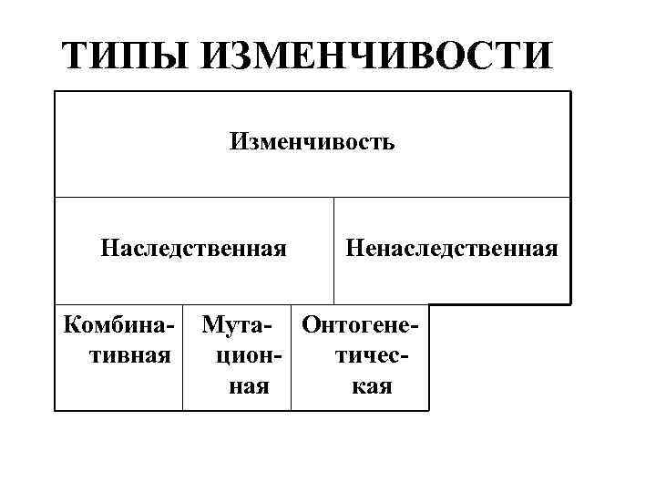 ТИПЫ ИЗМЕНЧИВОСТИ Изменчивость Наследственная Комбинативная Ненаследственная Мута- Онтогенеционтичесная кая 