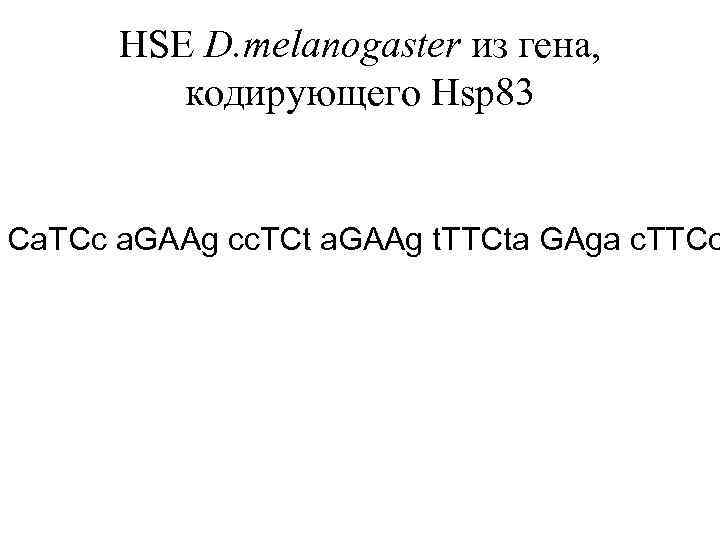 HSE D. melanogaster из гена, кодирующего Hsp 83 Ca. TCc a. GAAg cc. TCt