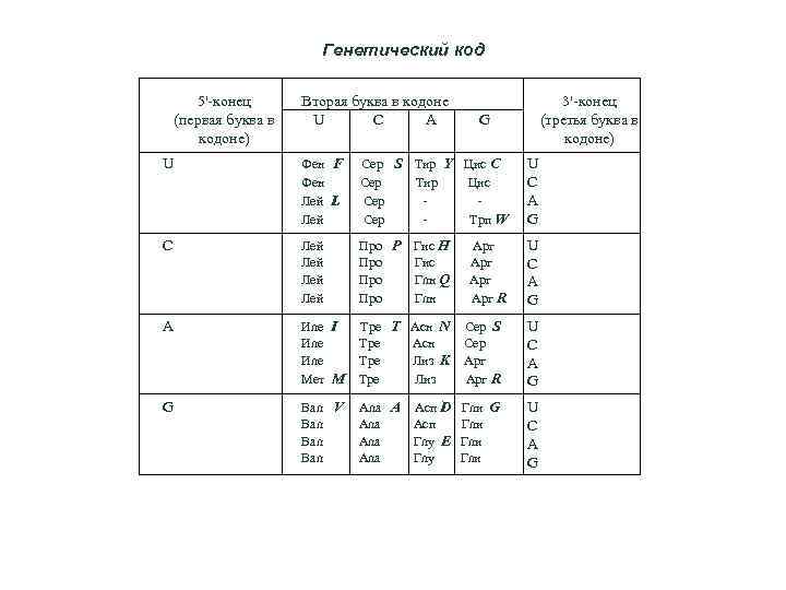 Генетический код 5'-конец (первая буква в кодоне) Вторая буква в кодоне U C A