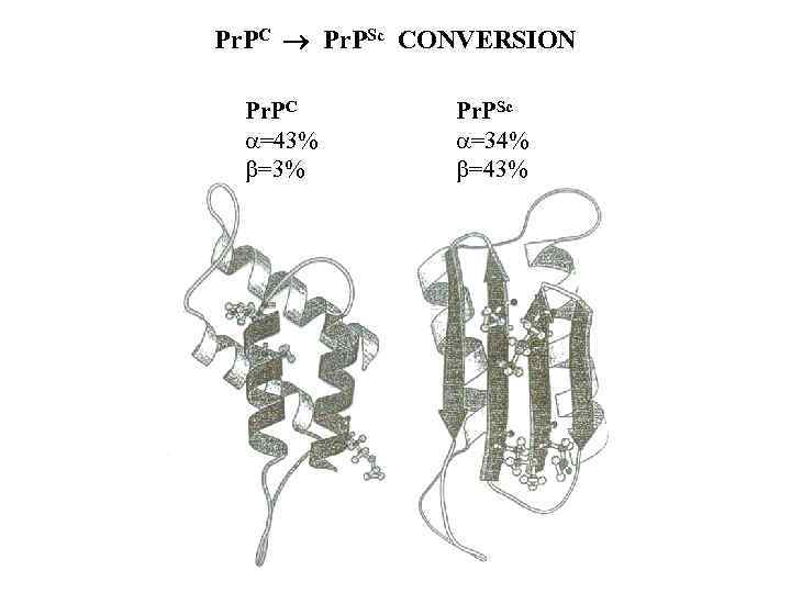 Pr. PC Pr. PSc CONVERSION Pr. PC =43% =3% Pr. PSc =34% =43% 
