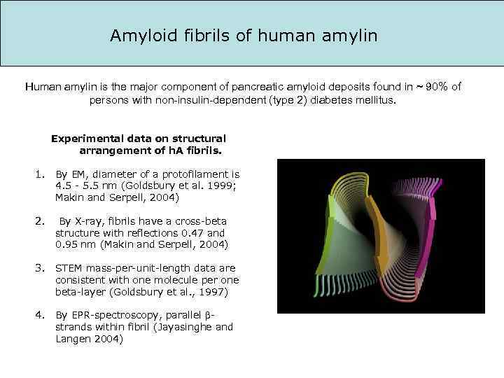 Amyloid fibrils of human amylin Human amylin is the major component of pancreatic amyloid