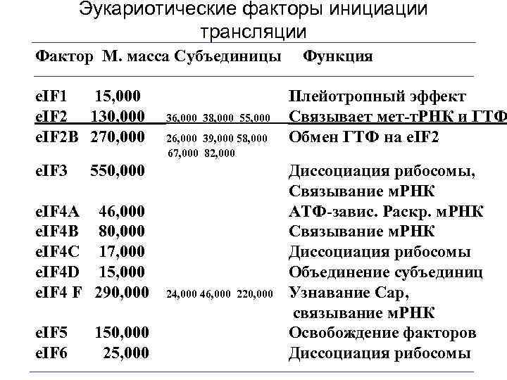 Эукариотические факторы инициации трансляции Фактор М. масса Субъединицы e. IF 1 15, 000 e.
