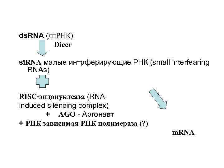 ds. RNA (дц. РНК) Dicer si. RNA малые интрферирующие РНК (small interfearing RNAs) RISC-эндонуклеаза