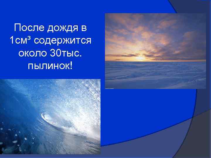 После дождя в 1 см³ содержится около 30 тыс. пылинок! 