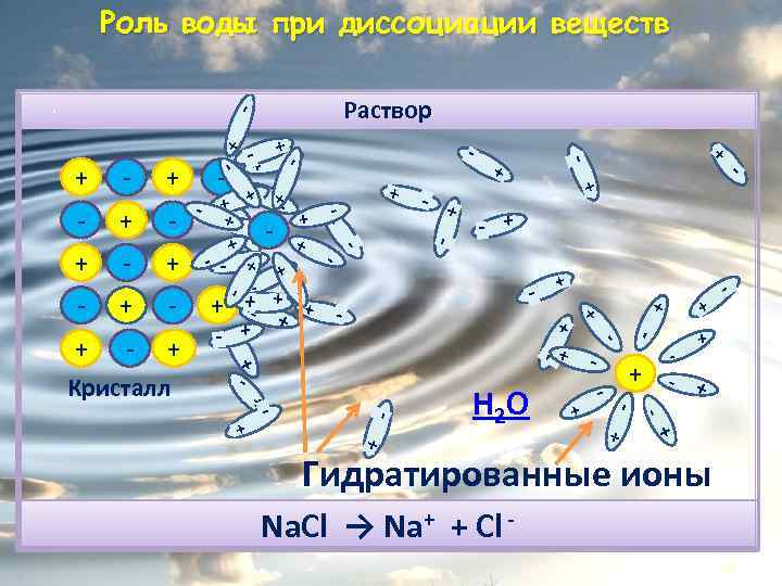 Роль воды при диссоциации веществ + + + - + - - + +