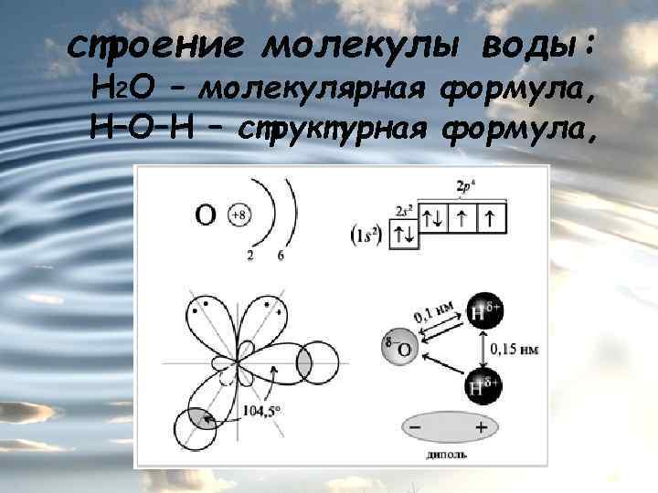 строение молекулы воды: Н 2 О – молекулярная формула, Н–О–Н – структурная формула, 