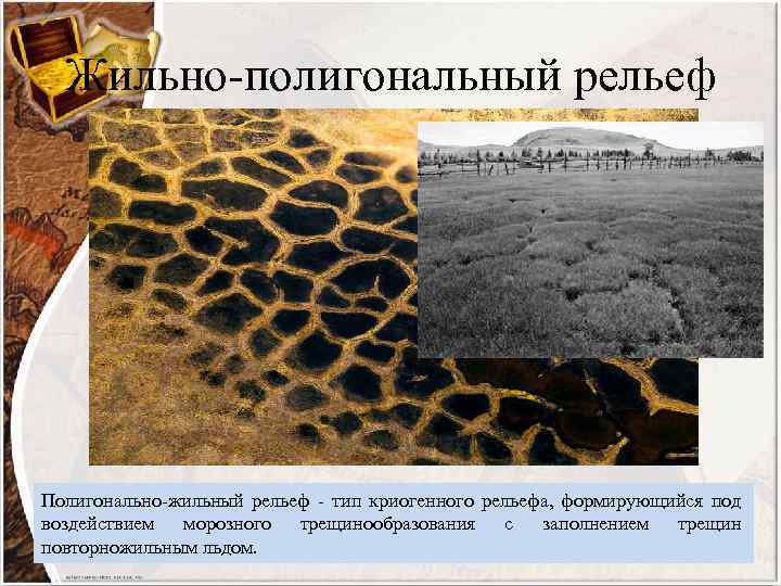 Жильно-полигональный рельеф Полигонально-жильный рельеф - тип криогенного рельефа, формирующийся под воздействием морозного трещинообразования с