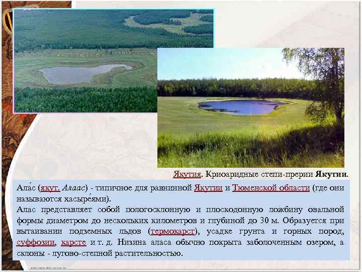 Якутия. Криоаридные степи-прерии Якутии. Ала с (якут. Алаас) - типичное для равнинной Якутии и