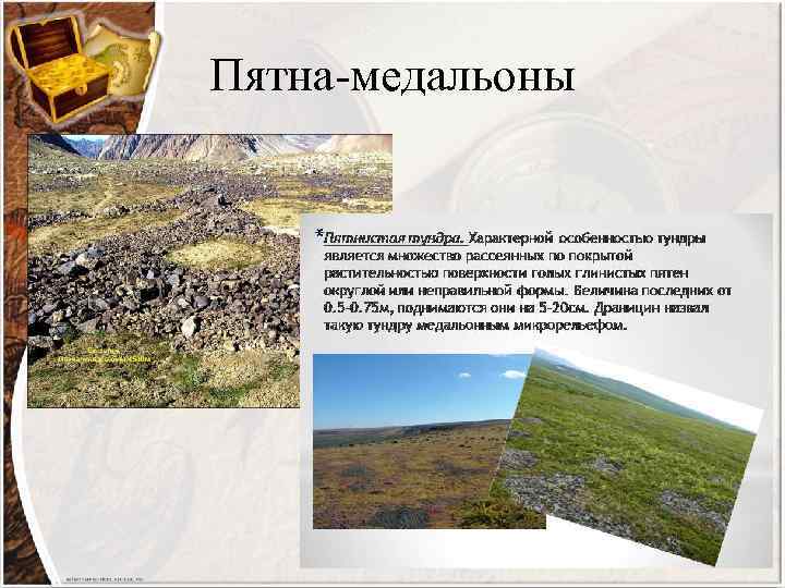 Пятна-медальоны 