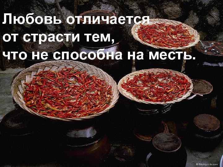Любовь отличается от страсти тем, что не способна на месть. 