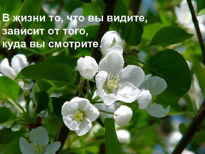 В жизни то, что вы видите, зависит от того, куда вы смотрите. 