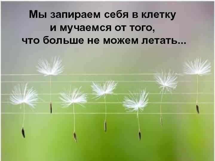 Мы запираем себя в клетку и мучаемся от того, что больше не можем летать.