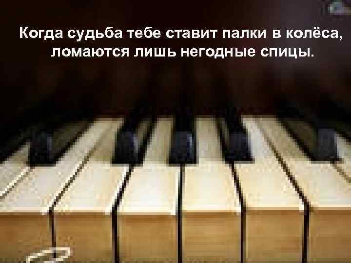 Когда судьба тебе ставит палки в колёса, ломаются лишь негодные спицы. 