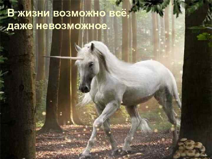В жизни возможно всё, даже невозможное. 
