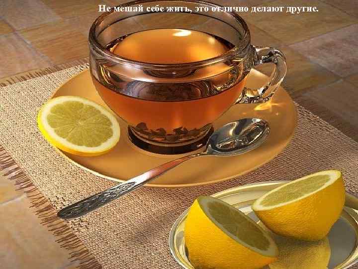 Не мешай себе жить, это отлично делают другие. 