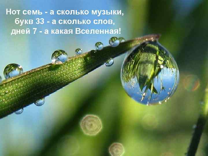 Нот семь - а сколько музыки, букв 33 - а сколько слов, дней 7