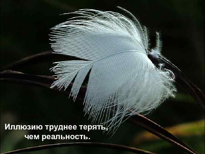 Иллюзию труднее терять, чем реальность. 