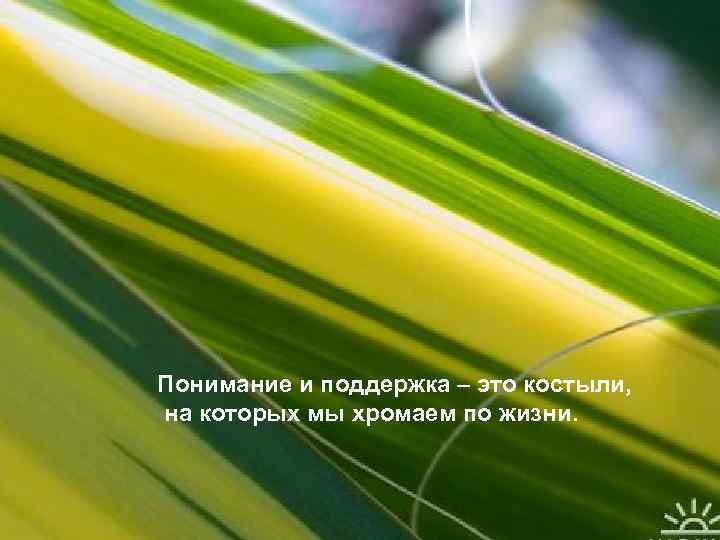Понимание и поддержка – это костыли, на которых мы хромаем по жизни. 