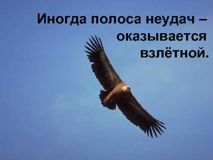 Иногда полоса неудач – оказывается взлётной. 