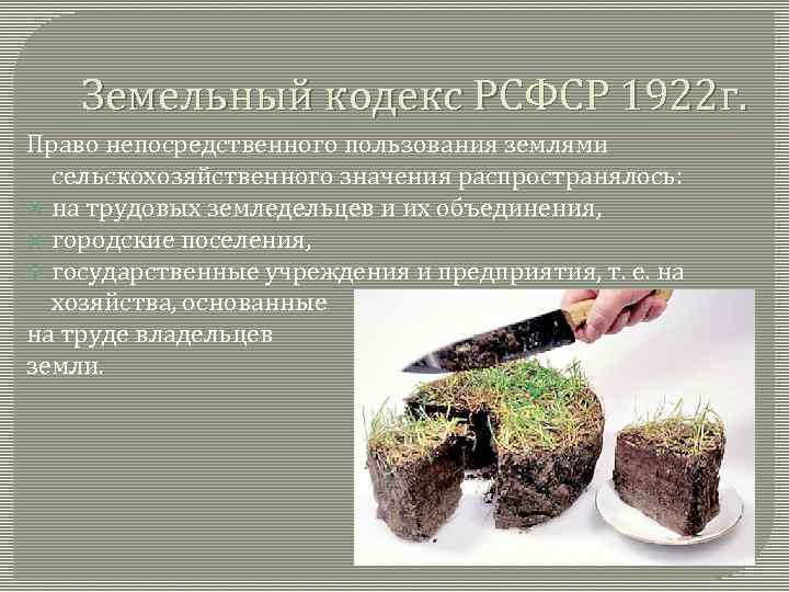 Земельный кодекс РСФСР 1922 г. Право непосредственного пользования землями сельскохозяйственного значения распространялось: на трудовых