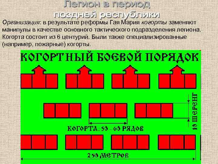 Организация: в результате реформы Гая Мария когорты заменяют манипулы в качестве основного тактического подразделения