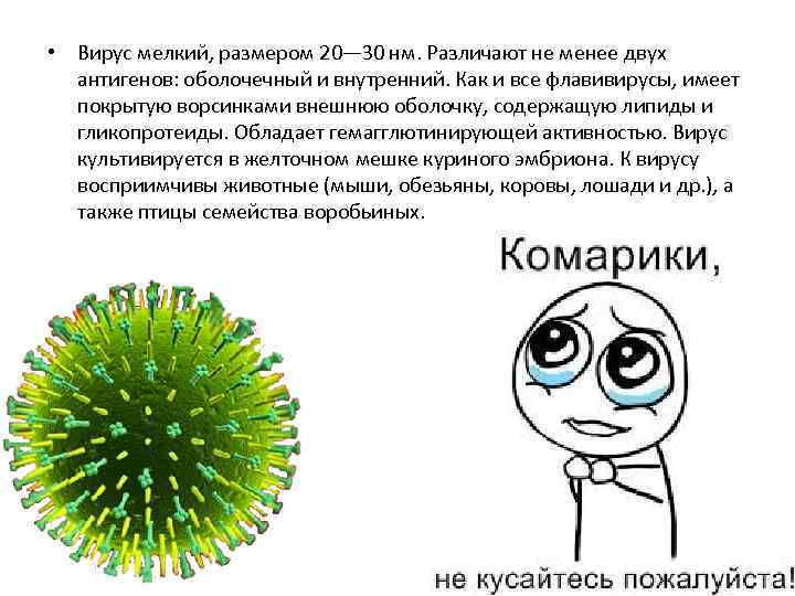  • Вирус мелкий, размером 20— 30 нм. Различают не менее двух антигенов: оболочечный