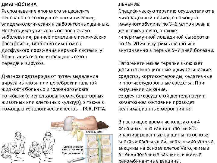 ДИАГНОСТИКА Распознавание японского энцефалита основано на совокупности клинических, эпидемиологических и лабораторных данных. Необходимо учитывать