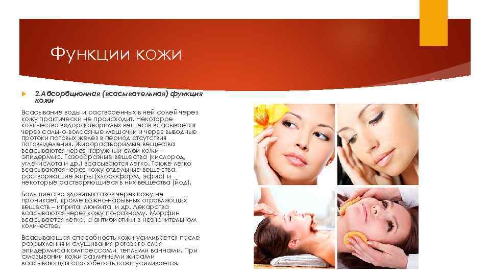 Функции кожи 2. Абсорбционная (всасывательная) функция кожи Всасывание воды и растворенных в ней солей