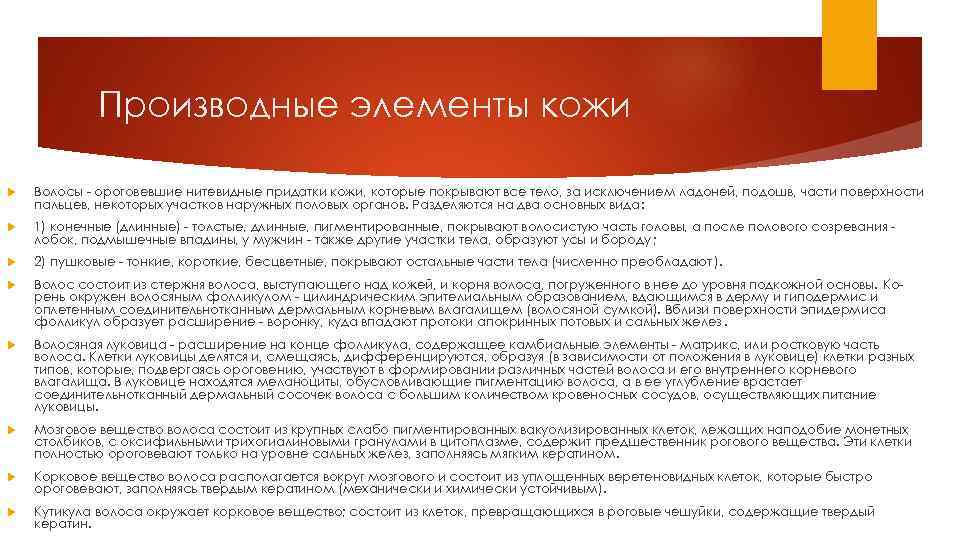 Производные элементы кожи Волосы - ороговевшие нитевидные придатки кожи, которые покрывают все тело, за