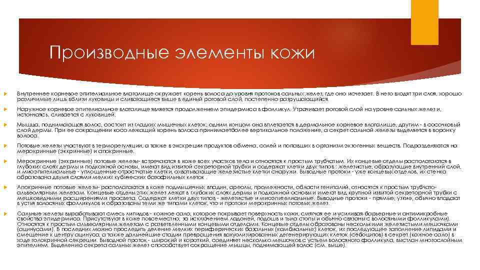 Производные элементы кожи Внутреннее корневое эпителиальное влагалище окружает корень волоса до уровня протоков сальных