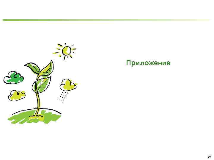 Приложение 24 