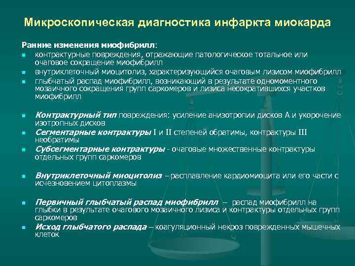Микроскопическая диагностика инфаркта миокарда Ранние изменения миофибрилл: n контрактурные повреждения, отражающие патологическое тотальное или