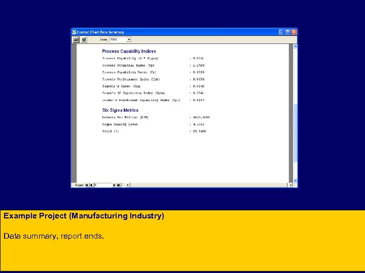 Example Project (Manufacturing Industry) Data summary, report ends. 