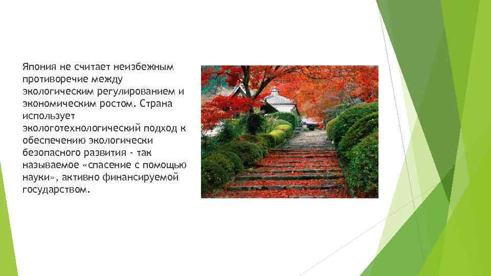 Япония не считает неизбежным противоречие между экологическим регулированием и экономическим ростом. Страна использует экологотехнологический
