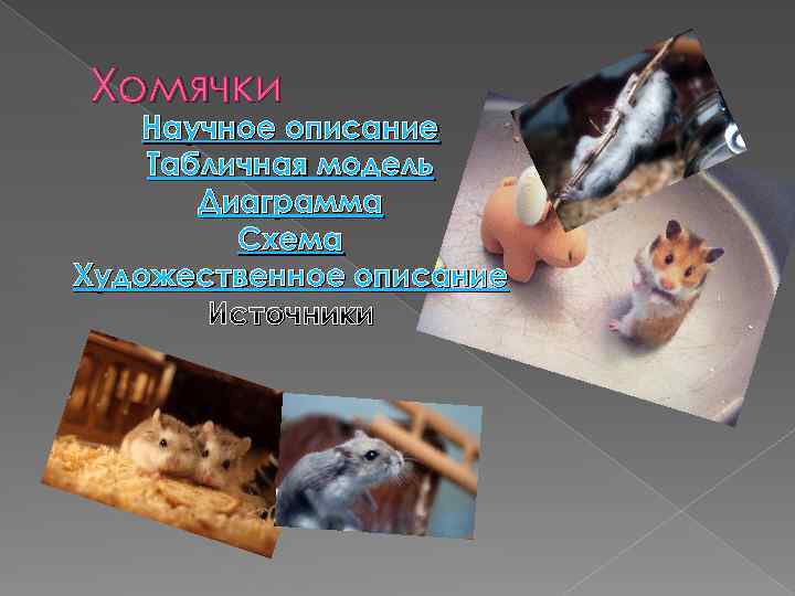 Хомячки Научное описание Табличная модель Диаграмма Схема Художественное описание Источники 