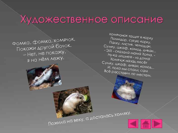 Художественное описание хомячонок тащит в но рку Помидор, сухую кор ку, Палку, лис тик,