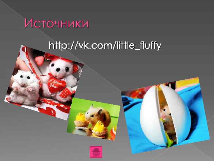Источники http: //vk. com/little_fluffy 