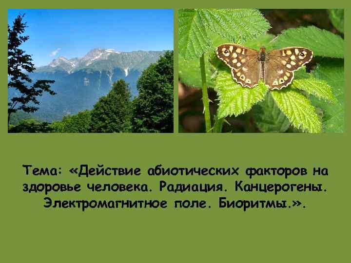 Тема: «Действие абиотических факторов на здоровье человека. Радиация. Канцерогены. Электромагнитное поле. Биоритмы. » .