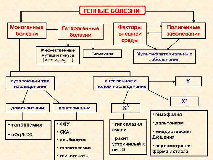 Типы моногенного наследования схема